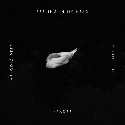 Buy EDM Ghost Production track - Feeling In My Head