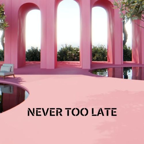 Buy EDM Ghost Production track - Never Too Late