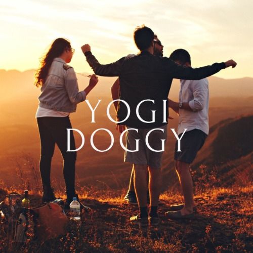 Buy EDM Ghost Production track - Yogi Doggy