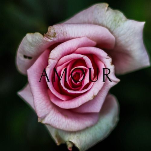 Buy EDM Ghost Production track - Amour