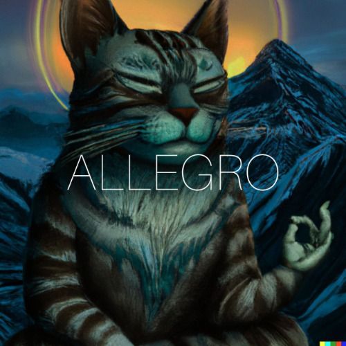 Buy EDM Ghost Production track - Allegro