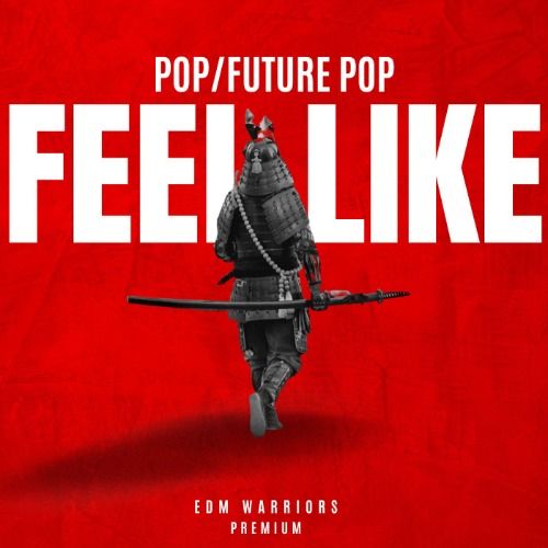 Buy EDM Ghost Production track - Feel Like This