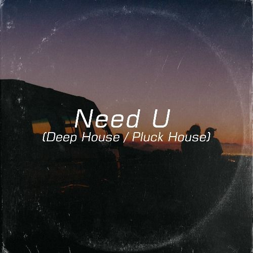 Buy EDM Ghost Production track - Need U