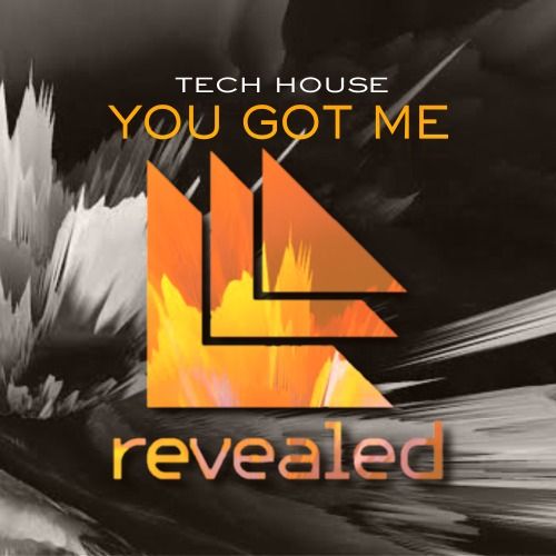 Buy EDM Ghost Production track - You Got Me