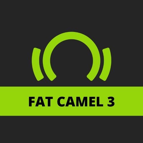 Buy EDM Ghost Production track - Fat Camel 3