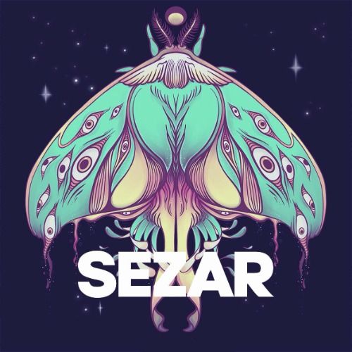 Buy EDM Ghost Production track - Sezar