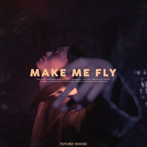 Buy EDM Ghost Production track - Make Me Fly