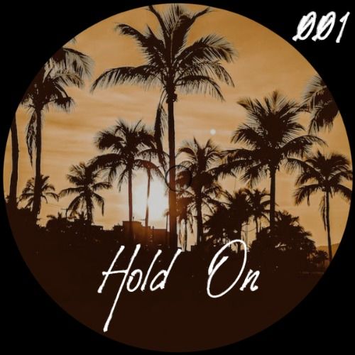 Buy EDM Ghost Production track - Hold On