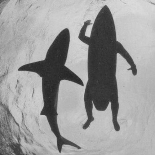 Buy EDM Ghost Production track - For You