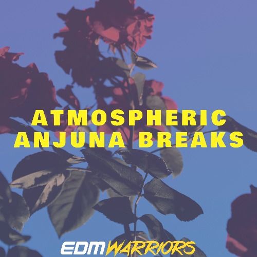 Buy EDM Ghost Production track - Atmo Anjuna Breaks