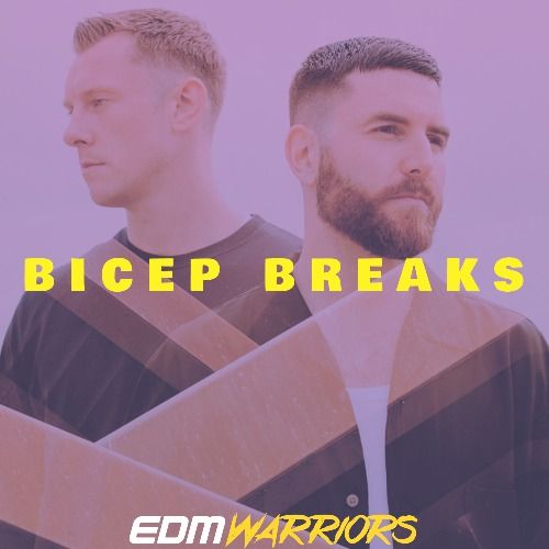 Buy EDM Ghost Production track - Bicep Breaks