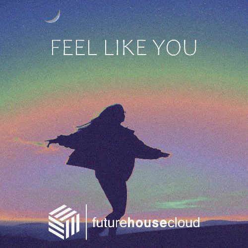 Buy EDM Ghost Production track - Feel Like You