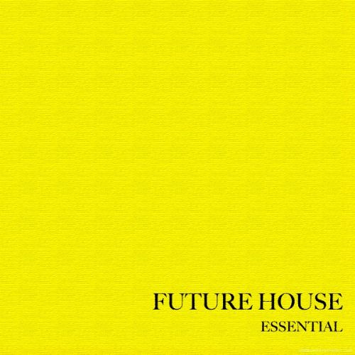 Buy EDM Ghost Production track - Future House