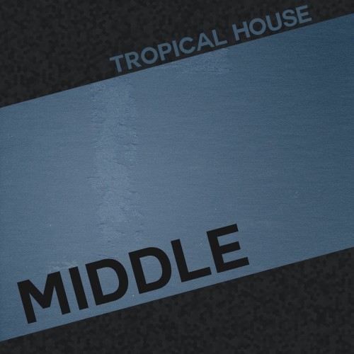 Buy EDM Ghost Production track - Middle