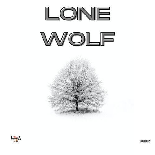 Buy EDM Ghost Production track - Lone Wolf