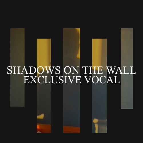 Buy EDM Ghost Production track - Shadows On The Wall