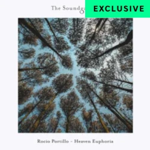 Buy EDM Ghost Production track - The Soundgarden