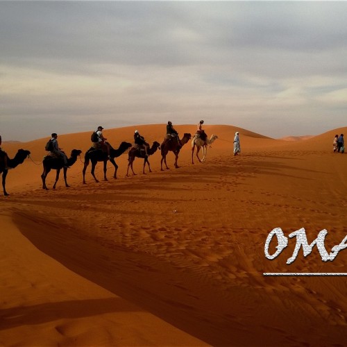 Buy EDM Ghost Production track - Omar