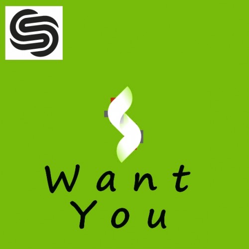 Buy EDM Ghost Production track - Want You