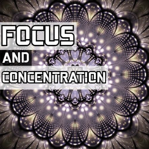 Buy EDM Ghost Production track - Focus N Concentration