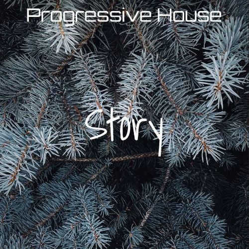 Buy EDM Ghost Production track - Story