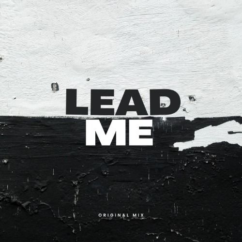 Buy EDM Ghost Production track - Lead Me