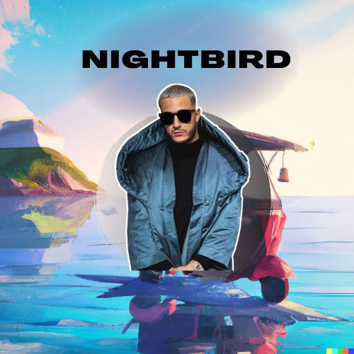 Buy EDM Ghost Production track - Nightbird