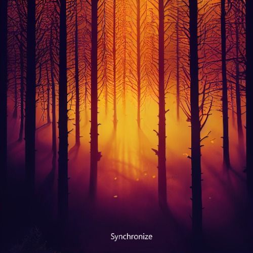 Buy EDM Ghost Production track - Synchronize