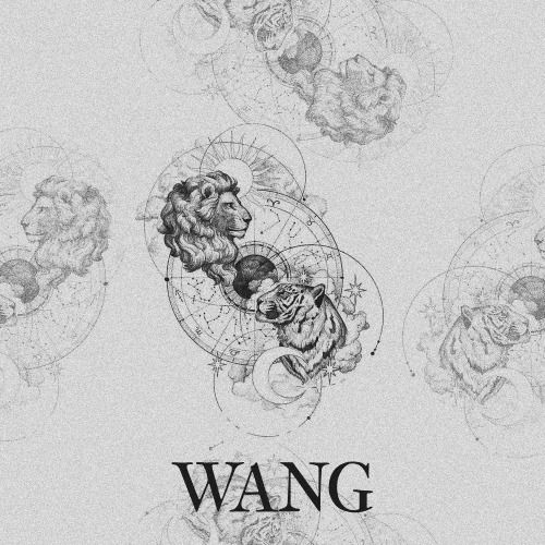 Buy EDM Ghost Production track - Wang