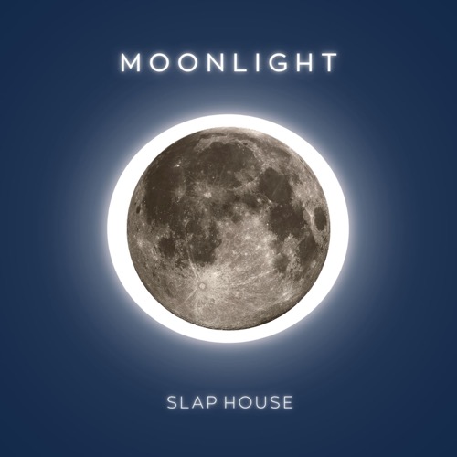 Buy EDM Ghost Production track - Moonlight