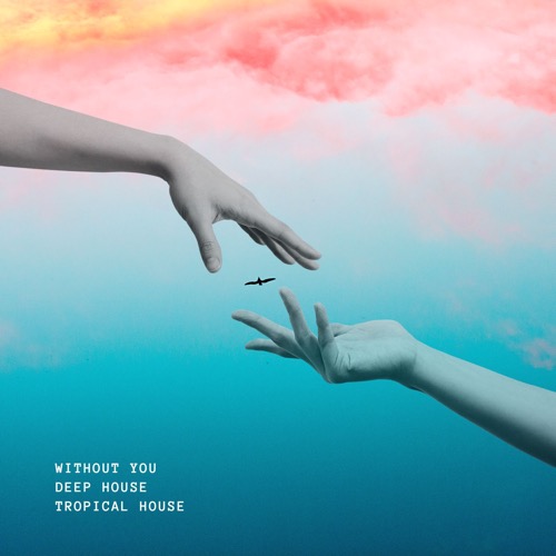 Buy EDM Ghost Production track - Without You