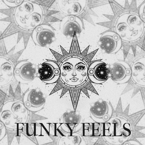 Buy EDM Ghost Production track - Funky Feels