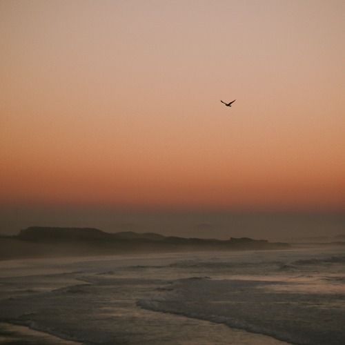 Buy EDM Ghost Production track - Alone