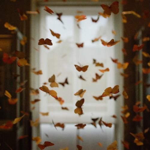 Buy EDM Ghost Production track - Love