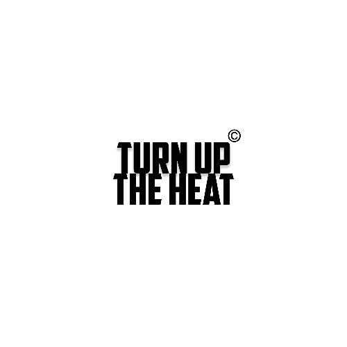 Buy EDM Ghost Production track - Turn Up The Heat