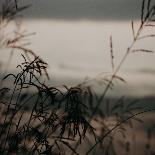 Buy EDM Ghost Production track - Always