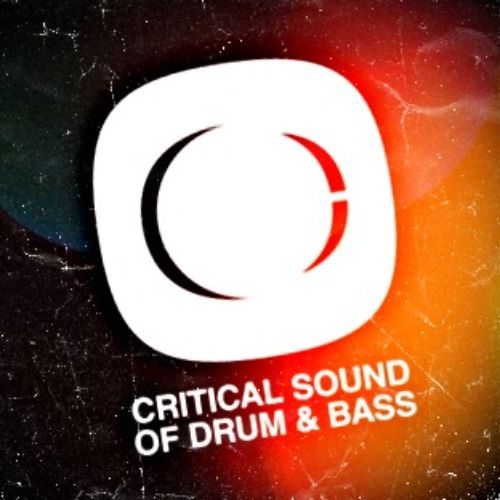 Buy EDM Ghost Production track - Hipster Tops