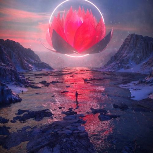 Buy EDM Ghost Production track - Afro Dance