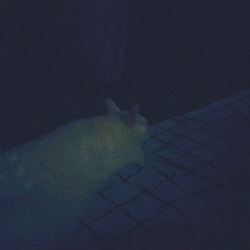 Buy EDM Ghost Production track - Dreamscapes VIII