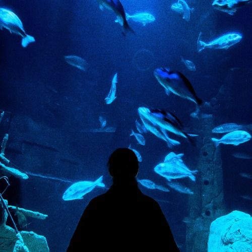 Buy EDM Ghost Production track - Dreamscapes X