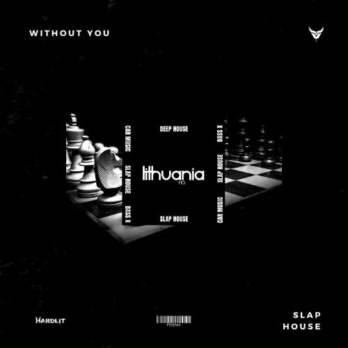 Buy EDM Ghost Production track - Without You