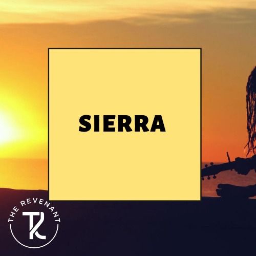 Buy EDM Ghost Production track - Sierra