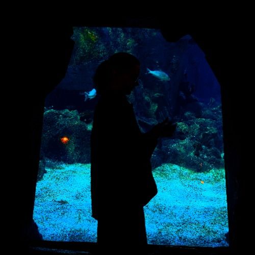 Buy EDM Ghost Production track - Dreamscapes XV