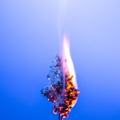 Buy EDM Ghost Production track - Burn