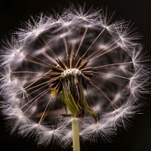 Buy EDM Ghost Production track - New Horizons