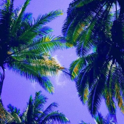 Buy EDM Ghost Production track - Kiss