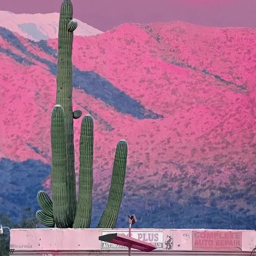 Buy EDM Ghost Production track - Rich