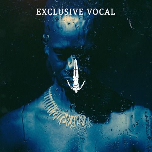 Buy EDM Ghost Production track - Vanishing Population