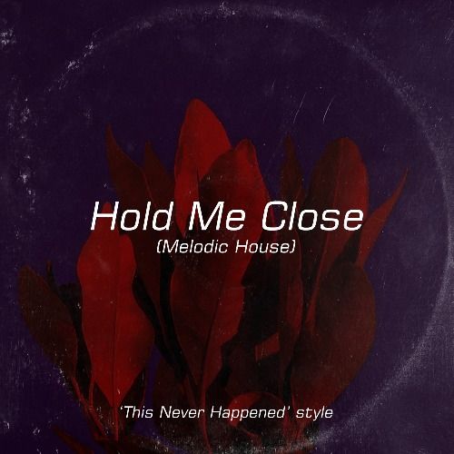 Buy EDM Ghost Production track - Hold Me Close