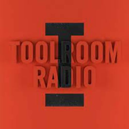 Buy EDM Ghost Production track - Toolroom John Summt